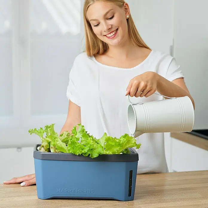 Gusta Garden Kräutertopf Harry Herbs - Kunststoff, Blau - Frau gießt Salat in einem Happy Herbs Pflanzkasten mit einer weißen Gießkanne. Das Produkt ist ein blauer Pflanzkasten.