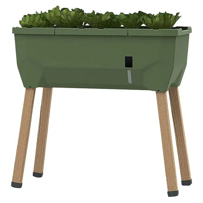 Gusta Garden Hochbeet Sammy Salad - 79 x 37,5 x 95 cm, Kunststoff, Dunkelgrün - Der erhöhte Kräutergarten "Sammy Salad" in Grün mit Salat bepflanzt und Holzbeinen. Ideal für den Anbau von frischen Kräutern und Salaten.