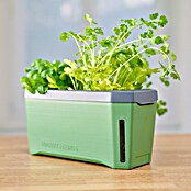 Gusta Garden Kräutertopf Harry Herbs (35,8 x 15 x 25 cm, Kunststoff, Dunkelgrün) | BAUHAUS