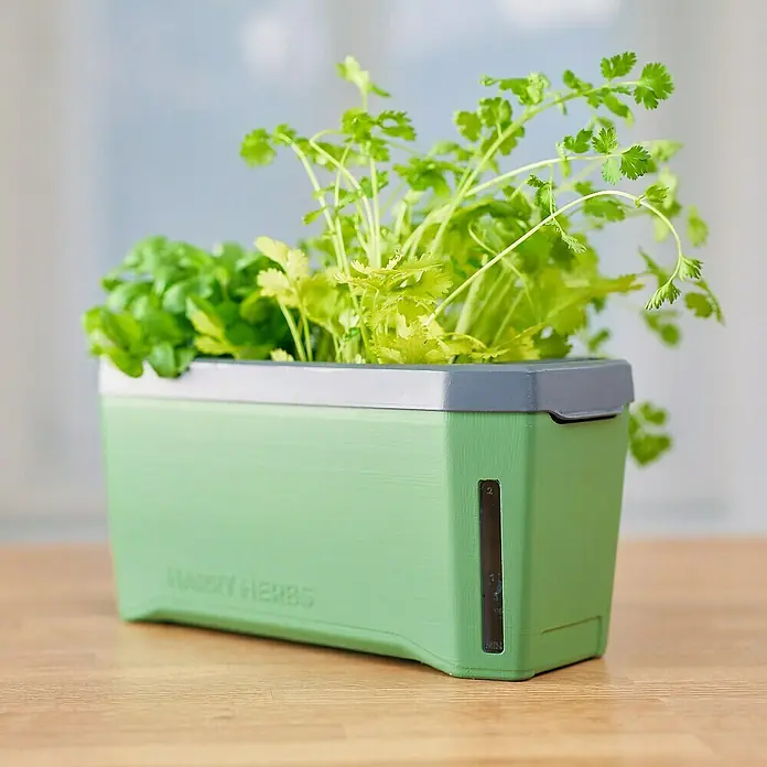 Gusta Garden Kräutertopf Harry Herbs - Kunststoff, Dunkelgrün - Kräutergarten mit frischen Kräutern in einem grünen Behälter. Das perfekte Accessoire für jede Küche.