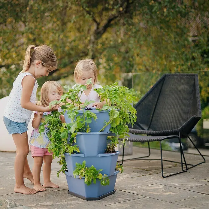 Gusta Garden Pflanzturm Paul Potato - 44 x 44 x 65 cm, Blau - Ein mehrschichtiger Pflanzbehälter mit üppigem Grün, umgeben von drei neugierigen Kindern im Freien.