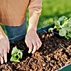 Gusta Garden Hochbeet Sammy Salad (79 x 37,5 x 95 cm, Kunststoff, Anthrazit) | BAUHAUS