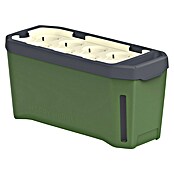 Gusta Garden Kräutertopf Harry Herbs (35,8 x 15 x 25 cm, Kunststoff, Dunkelgrün) | BAUHAUS