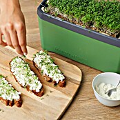 Gusta Garden Kräutertopf Harry Herbs (35,8 x 15 x 25 cm, Kunststoff, Dunkelgrün) | BAUHAUS