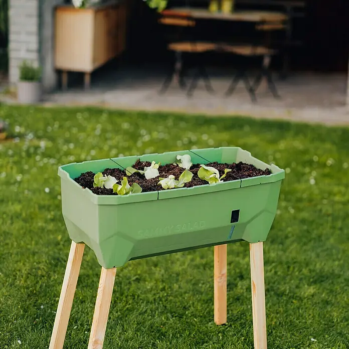 Gusta Garden Hochbeet Sammy Salad - 79 x 37,5 x 95 cm, Kunststoff, Dunkelgrün - Hochbeet mit dem Namen "Sammy Salad" aus grünem Kunststoff mit Holzbeinen im Garten. Ideal für Kräuter und Gemüse.