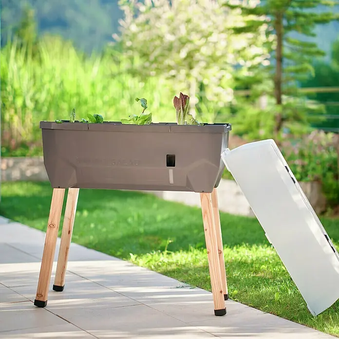 Gusta Garden Hochbeet Sammy Salad - 79 x 37,5 x 95 cm, Kunststoff, Anthrazit - Grauer, erhöhter Pflanzkasten mit Holzbeinen und Salatpflanzen darauf, mit einem abgenommenen Deckel daneben.