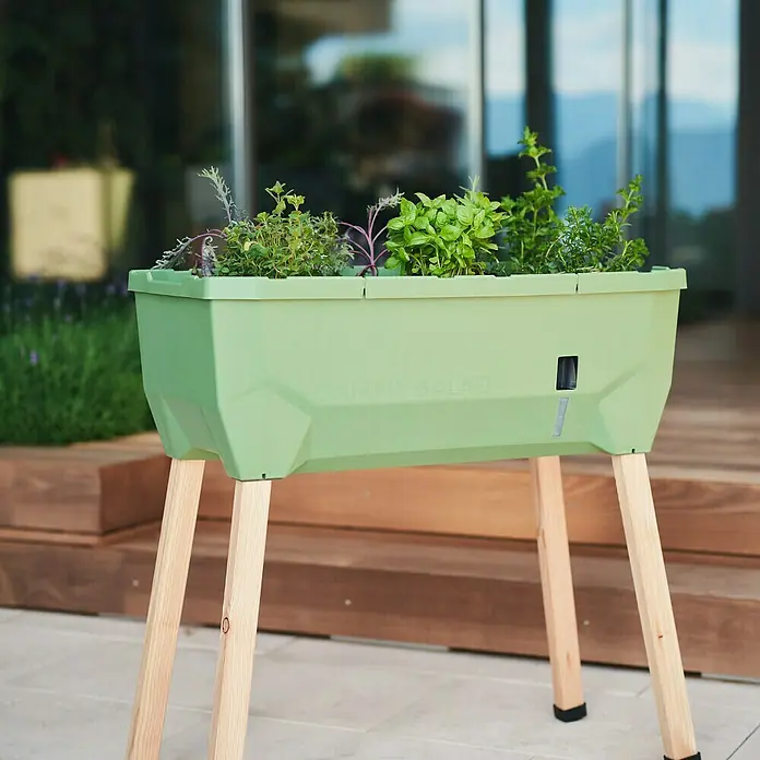 Gusta Garden Hochbeet Sammy Salad79 x 37,5 x 95 cm, Kunststoff, Dunkelgrün - Dieser erhöhte Kräutergarten bietet eine komfortable Höhe zum Bepflanzen und Ernten, ideal für den Anbau frischer Kräuter.