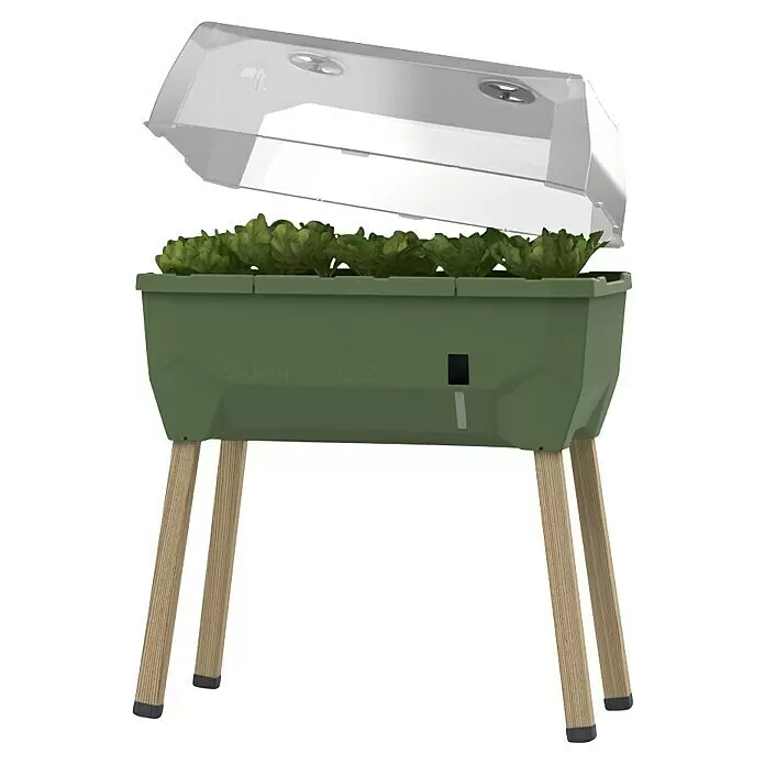 Gusta Garden Hochbeet Sammy Salad79 x 37,5 x 95 cm, Kunststoff, Dunkelgrün