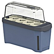 Gusta Garden Kräutertopf Harry Herbs (35,8 x 15 x 25 cm, Kunststoff, Blau) | BAUHAUS