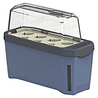 Gusta Garden Kräutertopf Harry Herbs (35,8 x 15 x 25 cm, Kunststoff, Blau)