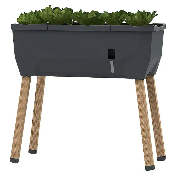 Gusta Garden Hochbeet Sammy Salad - 79 x 37,5 x 95 cm, Kunststoff, Anthrazit - Sammy Salad Pflanzkasten mit frischem Grün. Der erhöhte Pflanzkasten mit Holzbeinen ist ideal für den Anbau von Salat und Kräutern.