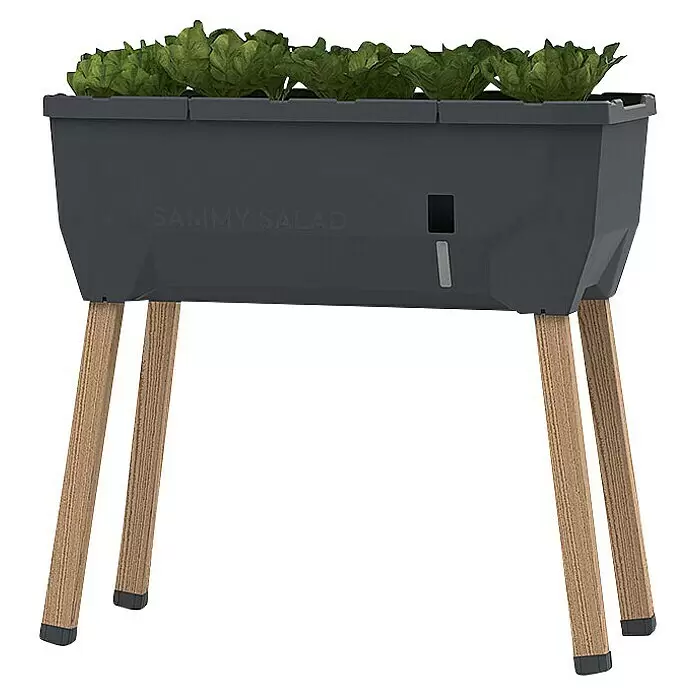 Gusta Garden Hochbeet Sammy Salad79 x 37,5 x 95 cm, Kunststoff, Anthrazit