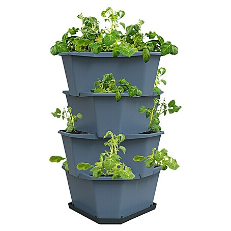 Gusta Garden Pflanzturm Paul Potato (44 x 44 x 65 cm, Blau)