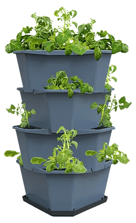 halter fr blumenksten fensterbank Blumenkastenhalterung f. Fensterbnke Edelstahl ohne Bohren