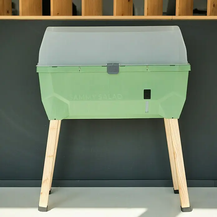 Gusta Garden Hochbeet Sammy Salad79 x 37,5 x 95 cm, Kunststoff, Dunkelgrün - Nahaufnahme einer grünen Sammy Salad Salatbox auf einem Ständer mit transparentem Deckel vor grauem Hintergrund.