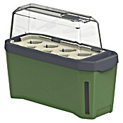 Gusta Garden Kräutertopf Harry Herbs (35,8 x 15 x 25 cm, Kunststoff, Dunkelgrün) | BAUHAUS