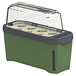 Gusta Garden Kräutertopf Harry Herbs (35,8 x 15 x 25 cm, Kunststoff, Dunkelgrün)