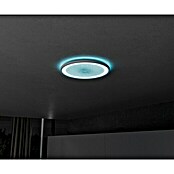 Brilliant LED-Deckenleuchte rund Tanida (22 W, Ø x H: 29,5 x 2,5 cm, Weiß, RGBW) | BAUHAUS