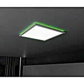 Brilliant LED-Deckenleuchte Tanida eckig (22 W, L x B x H: 42 x 42 x 2,6 cm, Weiß, Kaltweiß) | BAUHAUS