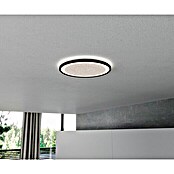 Brilliant LED-Deckenleuchte rund Tanida (22 W, Ø x H: 29,5 x 2,5 cm, Schwarz, Neutralweiß) | BAUHAUS