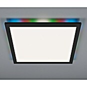 Brilliant LED-Deckenleuchte Tanida (20 W, L x B x H: 29,5 x 29,5 x 2,6 cm, Schwarz, Kaltweiß) | BAUHAUS