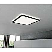 Brilliant LED-Deckenleuchte Tanida (24 W, L x B x H: 42 x 42 x 2,6 cm, Schwarz, Kaltweiß) | BAUHAUS