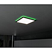 Brilliant LED-Deckenleuchte Tanida (20 W, L x B x H: 29,5 x 29,5 x 2,6 cm, Schwarz, Kaltweiß) | BAUHAUS