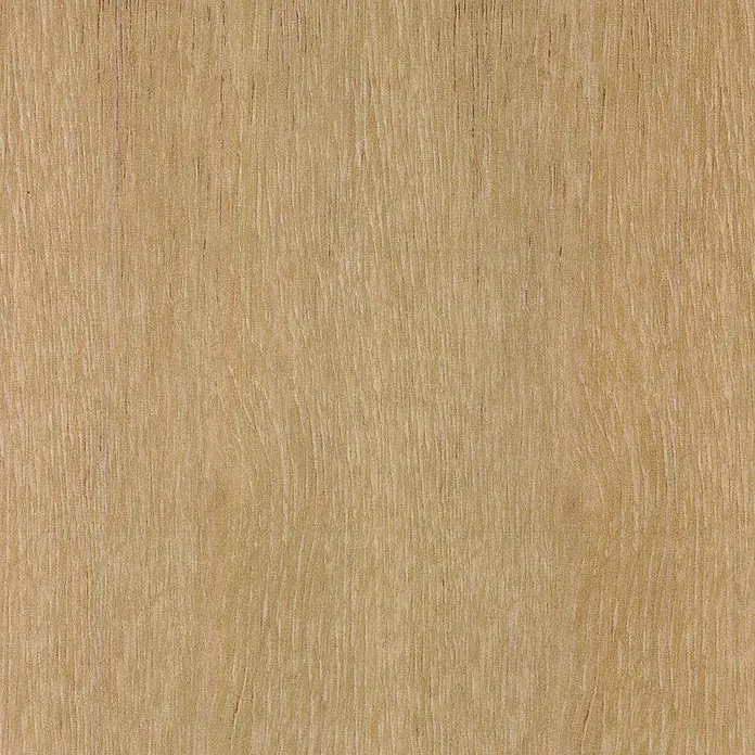 Profiles and more Sockelleiste KU51L Châteaux Neuf - 240 cm x 15 mm x 50 mm - Helle Holzoberfläche mit feiner Maserung, ideal für Möbel und Innenausbau. Natürliche Optik und warme Ausstrahlung.