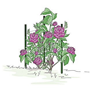 blumenstnder rost Exklusive Blumensule 'Flora'