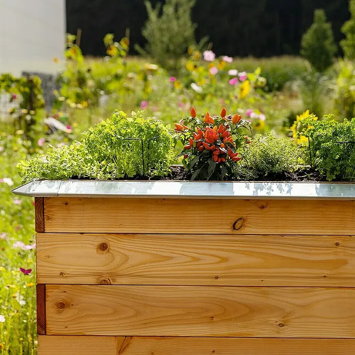 Bellissa Schneckenblech - 50 x 7 x 3,5 cm, Silber - Ein erhöhter Pflanzkasten aus Holz mit Kräutern und roten Chilis in einem Garten mit Blumen, der einen rustikalen Charme mit sich bringt.