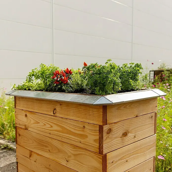 Bellissa Schneckenblech - 95 x 7 x 3,5 cm, Silber - Der hölzerne Hochbeetkasten mit Kräutern und roten Chilis ist eine schöne und praktische Ergänzung für jeden Garten oder Balkon.