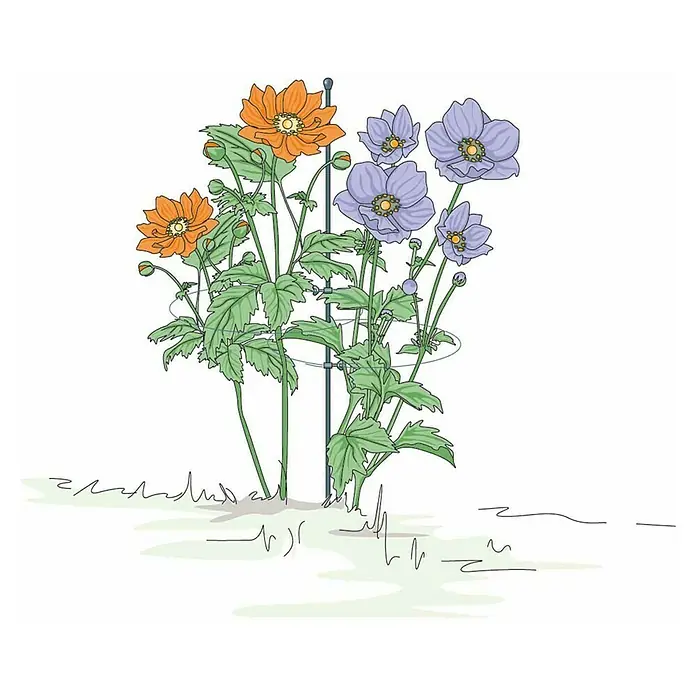 blumentreppe für blumenkästen Pflanzleiter / Blumentreppe – Schweng Shop main image 0