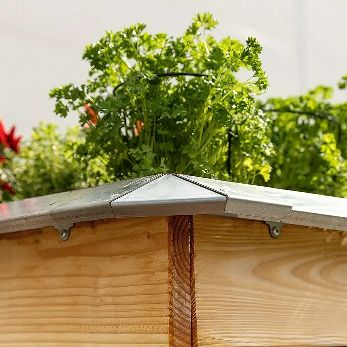 Bellissa Schneckenblech - 95 x 7 x 3,5 cm, Silber - Nahaufnahme eines hölzernen Pflanzkastens mit Metallecken, gefüllt mit grünen Kräutern, ideal für den Gartenanbau.