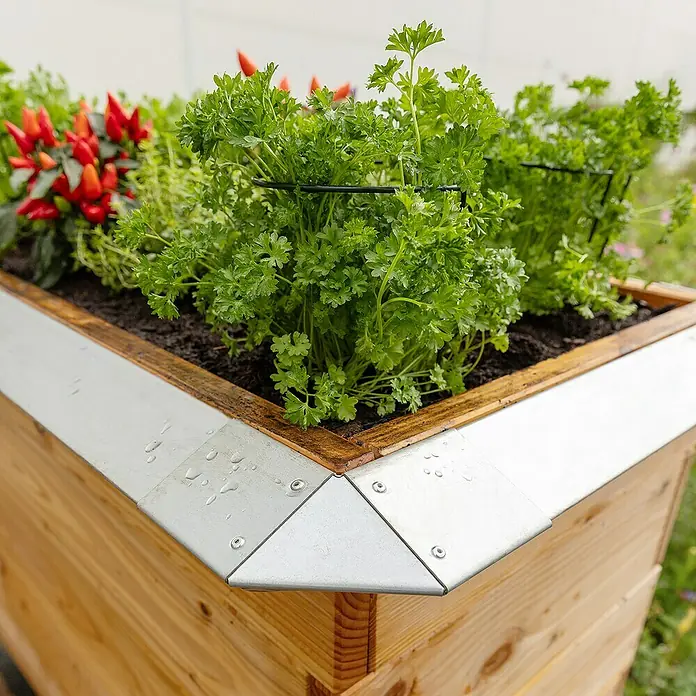 Bellissa Schneckenblech - 50 x 7 x 3,5 cm, Silber - Nahaufnahme eines Hochbeets aus Holz mit Kräutern und einer silbernen Metalleinfassung mit Nieten an den Ecken.