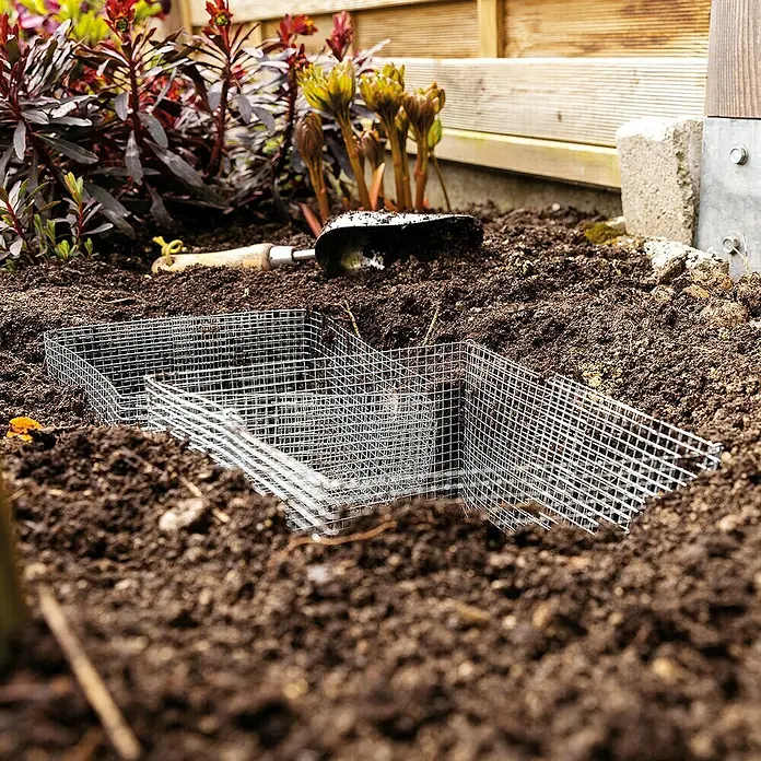 Bellissa Blumenzwiebel-Pflanzschale - 5 Stk., 20 x 20 x 11 cm - Eingegrabenes Drahtgeflecht im Gartenboden zum Schutz junger Pflanzen vor Wühlmäusen oder anderen Schädlingen im Garten.