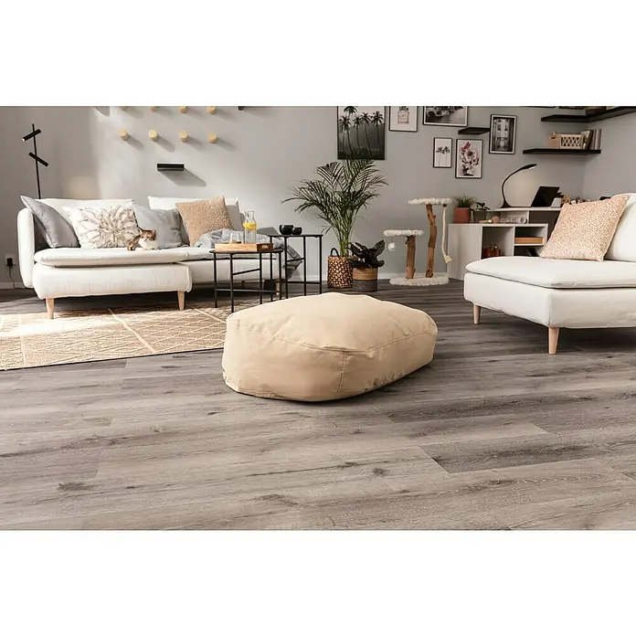 Regalux Wandboard XL4 - L x B x H: 23,5 x 118 x 3,8 cm, Schwarz, Belastbarkeit: 12 kg - Gemütliches Wohnzimmer mit hellem Sofa, beigem Sitzsack und einem Teppich. Eine Katze liegt entspannt auf dem Sofa.