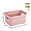 Sunware Aufbewahrungsbox Sigma Home (L x B x H: 17,7 x 12,8 x 9,3 cm, Kunststoff, Rosa) | BAUHAUS