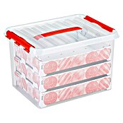 Sunware Aufbewahrungsbox Q-Line (L x B x H: 40 x 30 x 29 cm, Geeignet für: Christbaumschmuck, Kunststoff, Transparent)