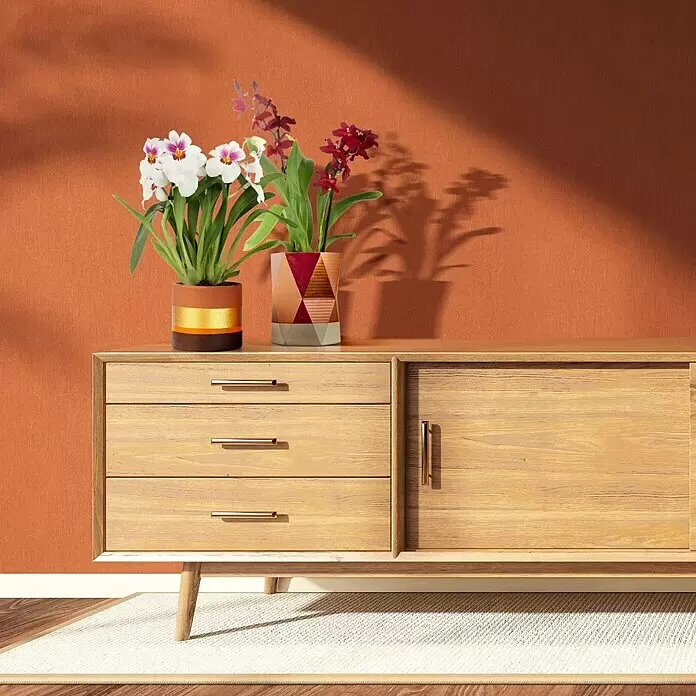 Piardino Orchidee - in Sorten gemischt, Topfgröße: 12 cm, Anzahl Triebe: 4 Stk. - 5 Stk., Aufrecht - Ein helles Holz-Sideboard mit drei Schubladen und einem Schrankfach, goldenen Griffen und zwei Orchideen in Töpfen.