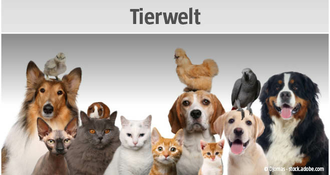 Tierwelt