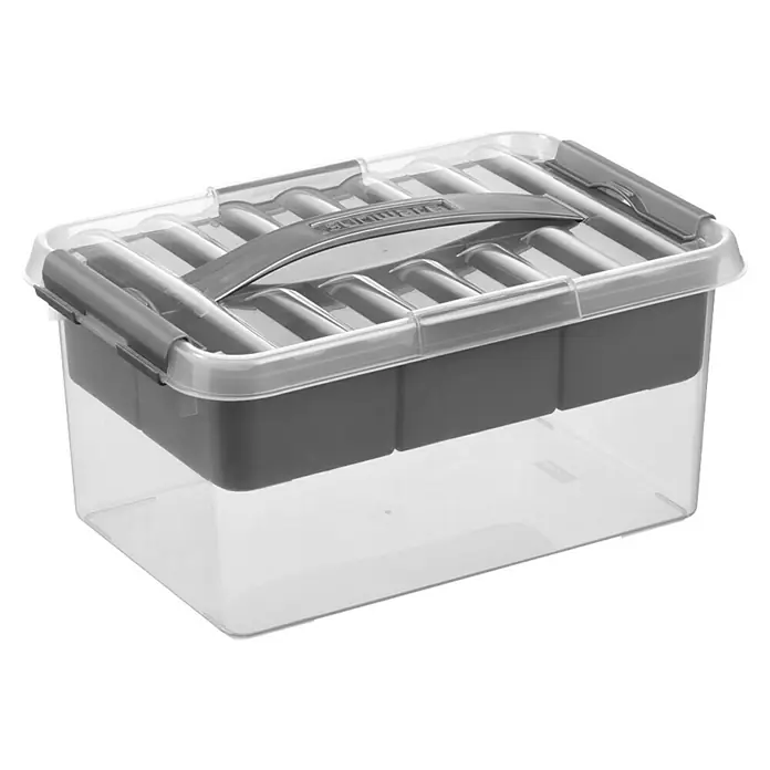 Sunware Aufbewahrungsbox Q-Line mit Einsatz - L x B x H: 30 x 20 x 14 cm, Kunststoff, Transparent - Transparente Kunststoffbox mit grauem Deckel und Tragegriff, ideal zur Aufbewahrung verschiedener Gegenstände.
