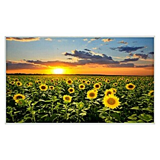 Infracrvena grijaća ploča Sunflower (D x Š x V: 1.000 x 18 x 600 mm, 600 W)