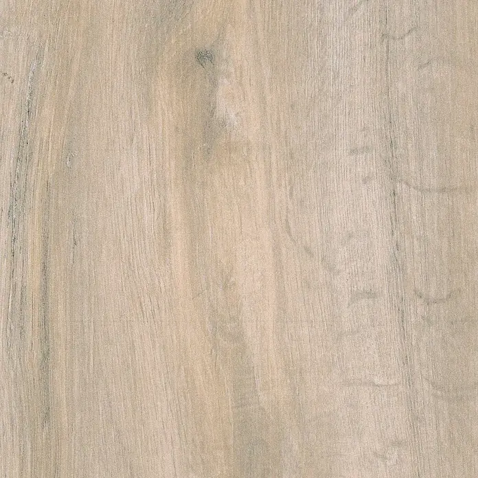 Profiles and more Sockelleiste KU51L Eiche Como - 240 cm x 15 mm x 50 mm - Nahaufnahme von hellbraunem Holz mit Maserung. Natürliche Holzoberfläche für Möbel oder Bodenbeläge.