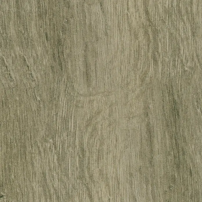 Profiles and more Sockelleiste KU51L Eiche Trient Grau - 240 cm x 15 mm x 50 mm - Nahaufnahme einer Holzmuster-Textur, die ein natürliches und warmes Aussehen vermittelt, ideal für Möbel oder Bodenbeläge.