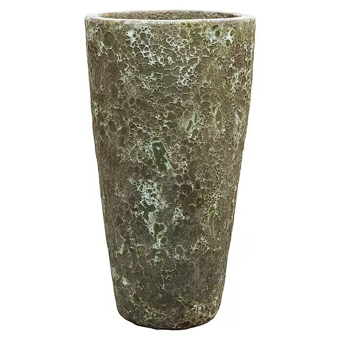 Piardino Zimmerpflanzen-Arrangement Grünpflanze in VulkastratHowea forsteriana, Baq Lava Braun, 35 x 180 cm
