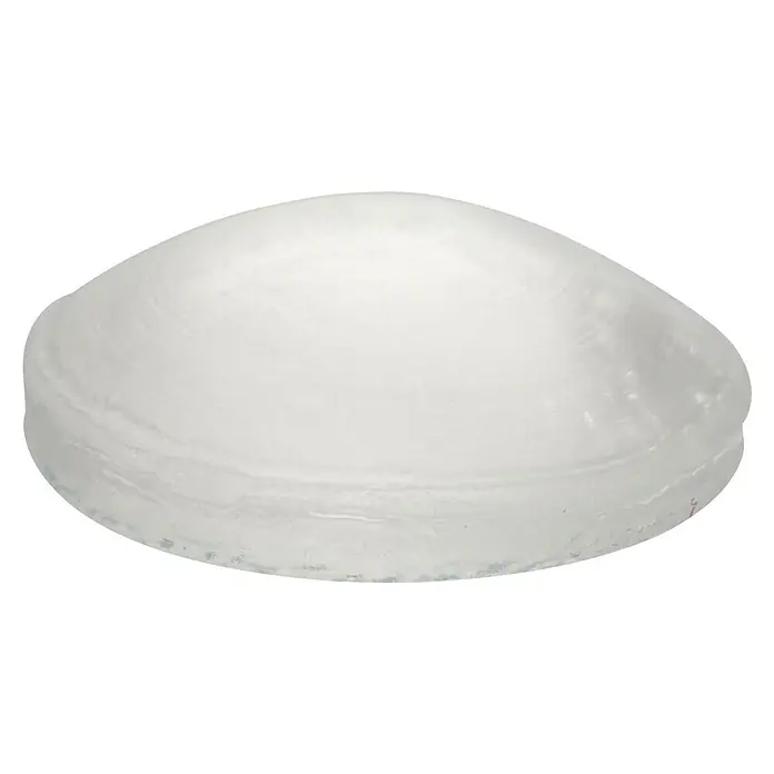 Wagner System Plastik-Gleiter - Ø x H: 10 x 3 mm, Transparent, 24 Stk. - Nahaufnahme einer Venusmuschel. Ihre glatte, weiße Oberfläche und die subtilen Rillen sind gut erkennbar.