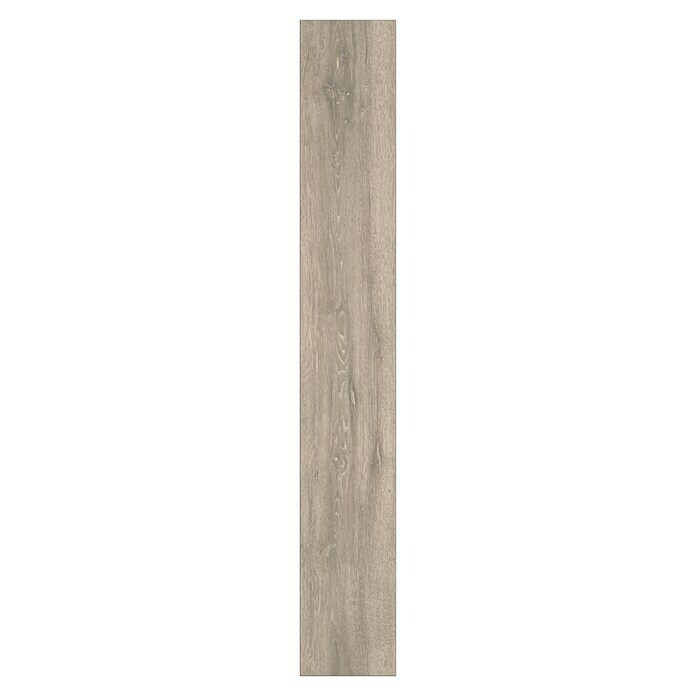 Krono Original Laminat Super Natural Boulder Oak (1.288 x 195 x 8 mm, Landhausdiele, Boulder Oak) | BAUHAUS