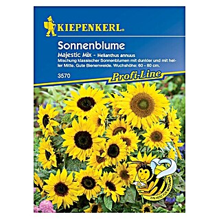 Kiepenkerl Profi-Line Blumensamen Sonnenblumen (Helianthus annuus, Gelb, Saatzeit: April, Blütezeit: Juli)