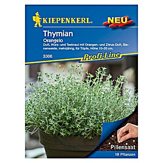 Kiepenkerl Profi-Line Kräutersamen Thymian (Thymus fragrantissimus, Saatzeit: März, Erntezeit: Mai, Blütezeit: Juni)