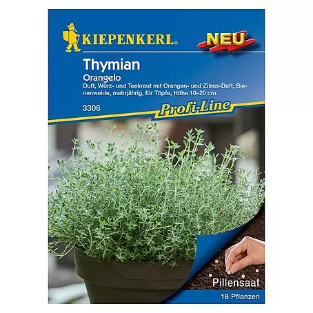 Kiepenkerl Profi-Line Kräutersamen Thymian